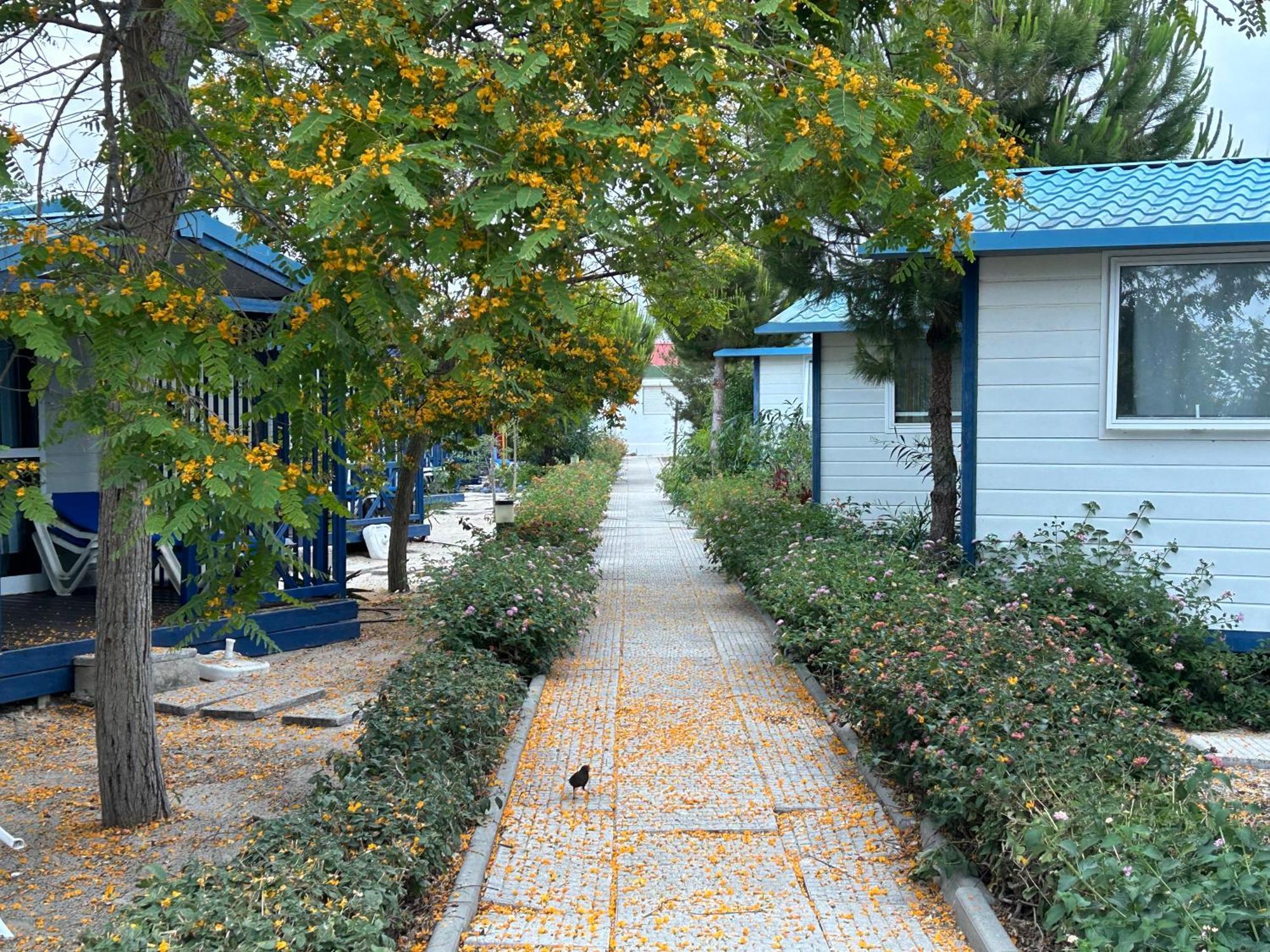 Orbitur Ilha De Armona Villa Olhao Ngoại thất bức ảnh